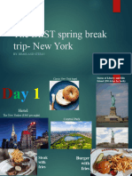 The BEST Spring Break Trip- New York 2
