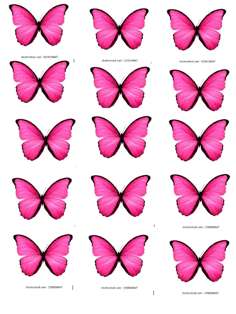 Butterfly | PDF