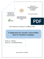 L’Implication Des Énergies Renouvelables Dans La Transition Écologique