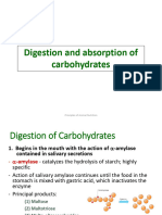 2 - Carbohydrates (Part 2)