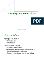 2 - Carbohydrates (Part 3)