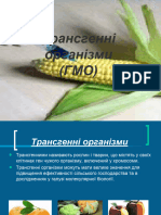 Трансгенні організми