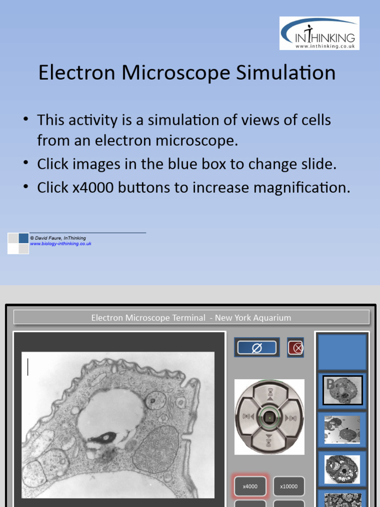 Electron Microscope Cell Simulation | PDF | Microscope | Laboratories