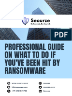 Professional Guide On What To Do If You've Been Hit by Ransomware - Securze