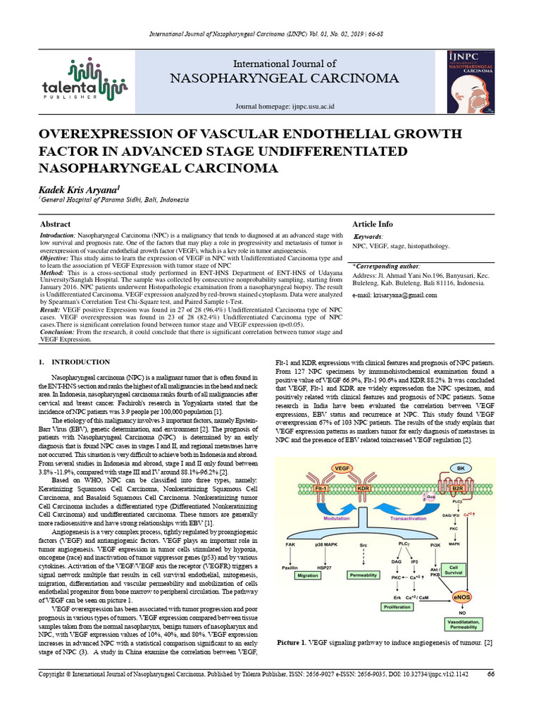 Overexpression of Vascular Endothelial Growth | PDF | Carcinoma ...