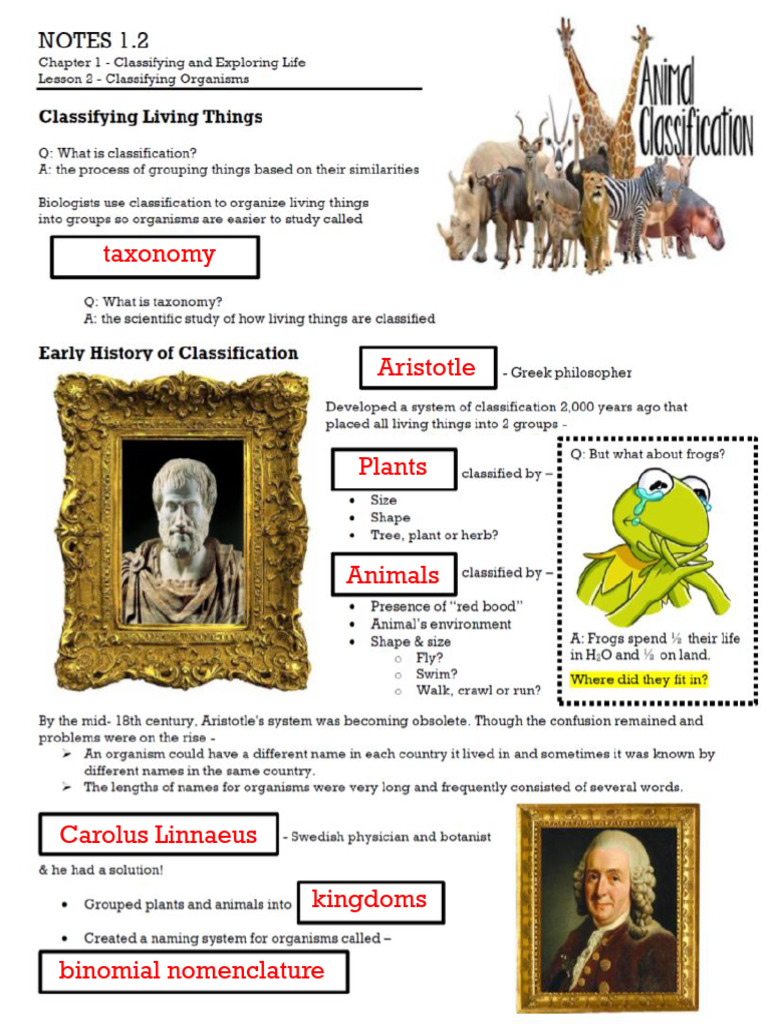 Evolutionary Taxonomy Overview | PDF