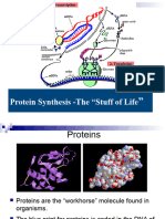 01 Protein Synthesis Transcription