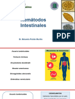 nematodos intestinales