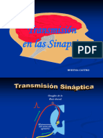 Clase 06 - Transmisión en las Sinapsis