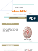 Neuroanatomi - Sirkulus Willisi