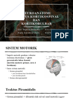 Neuroanatomi Kortikospinal _ Kortikobulbar