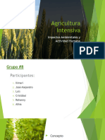 Agricultura Intensiva - Grupo 8