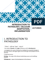 Lecture1 and 2 Introduction To Pathology Cellular Injury Death Adaptation Inflammation and Repair