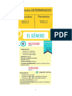 El Artículo Determinado A Határozott Névelő - 0320