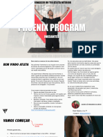 Phoenix Program