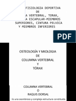 Columna y Torax Deportivo-1