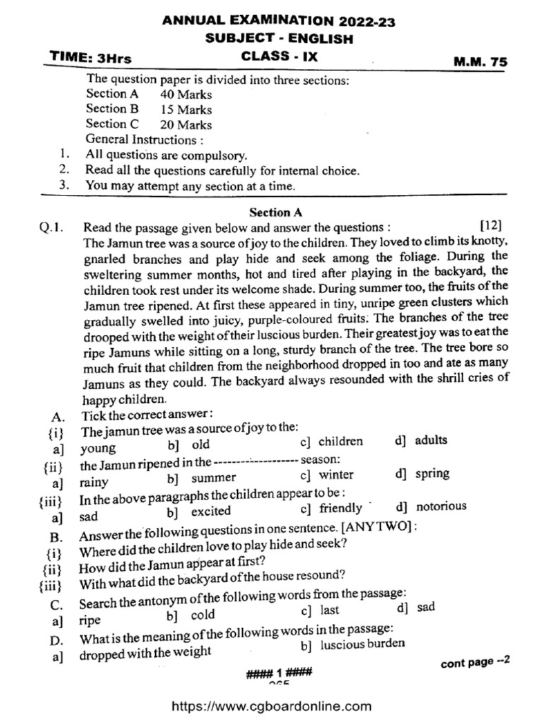 Cg Board Class 9 English 140623 2023 Pdf