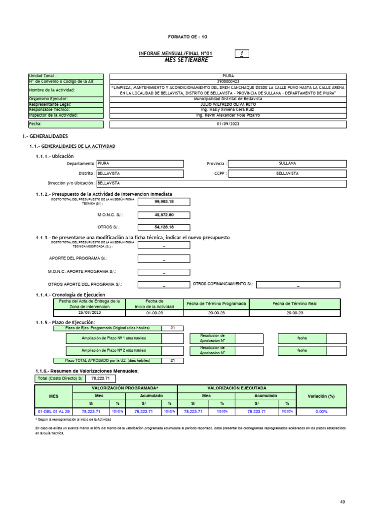 FORMATO OE -10 | PDF