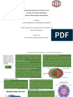 Cuadro sinóptico de las etapas de la influenza 