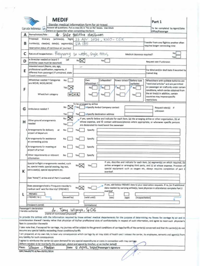MEDIF | PDF
