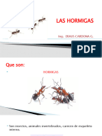 Las Hormigas