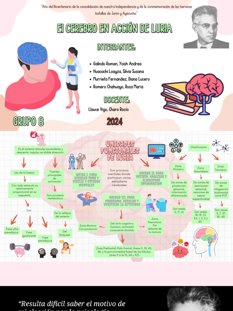 Organizador Visual de Bloques de Luria | PDF | Cerebro | Ciencias del ...