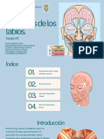 Blue Illustrated Medical Center Presentation