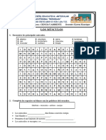 Los Músculos: Institución Educativa Articular "Santísima Trinidad"