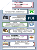 Infografia Sena