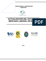 Informe Final Actualización Emlb Julio 2011