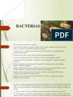 BACTERIAS