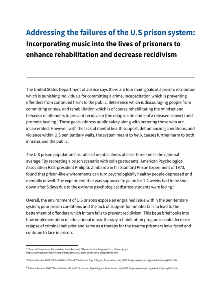 Issue Brief Paper CGN | PDF | Prison | Rehabilitation (Penology)