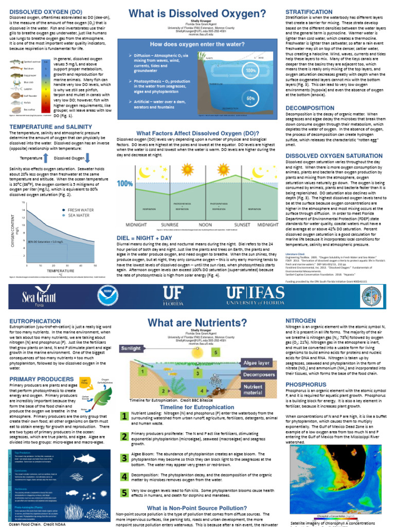 Understanding Dissolved Oxygen Levels | PDF | Eutrophication | Water