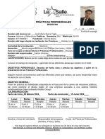 Formato Práct - Prof.registro