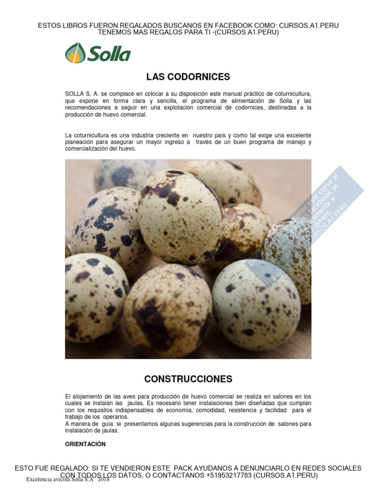 Intructivo para Godorniz | PDF | Aves | Alimentos