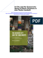 The Divided City and The Grassroots The Unmaking of Ethnic Divisions in Mostar Giulia Carabelli Full Chapter