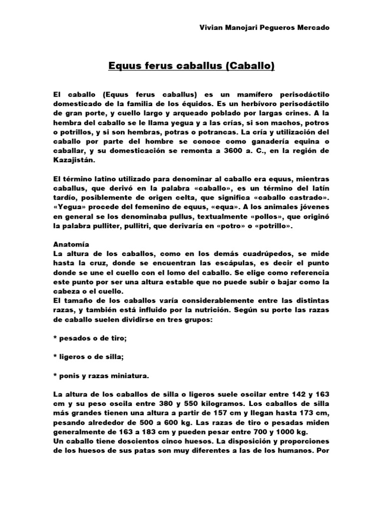Equus Ferus Caballus Pdf Caballos Zoología