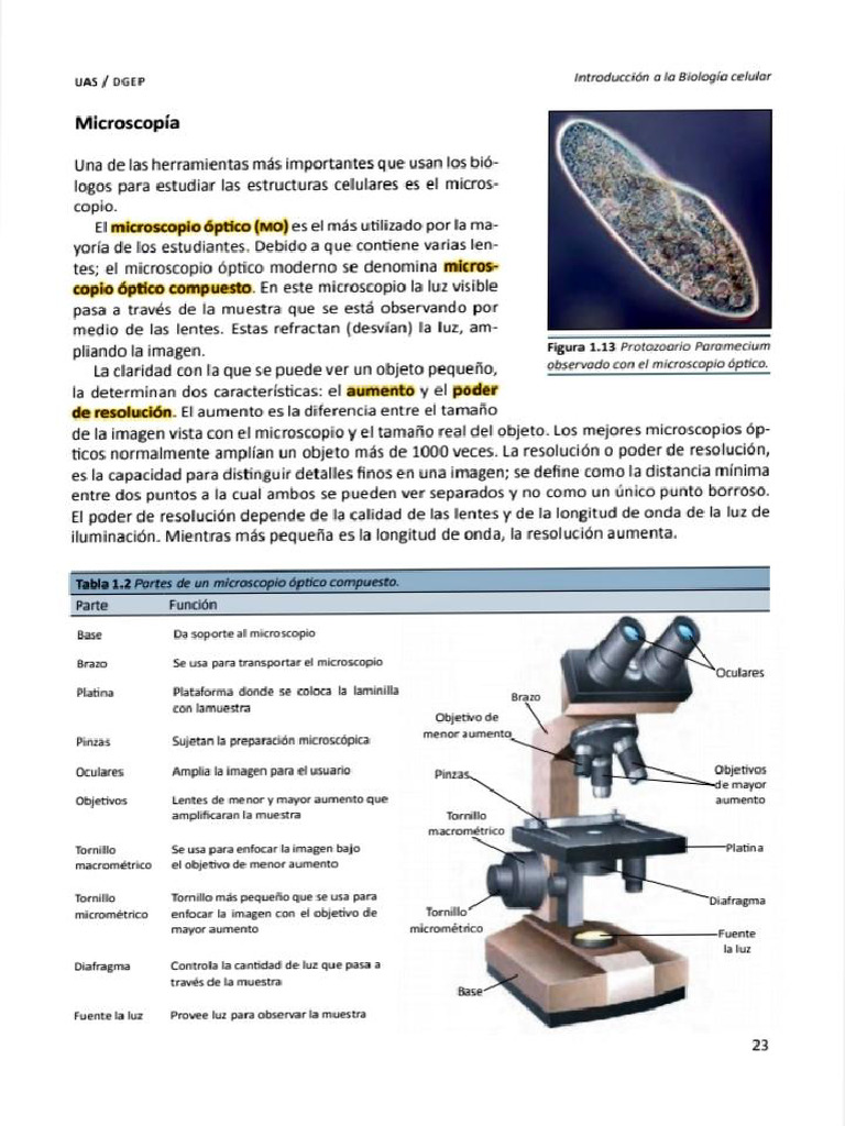 Microscopia ? | PDF