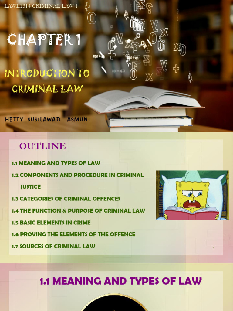 Introduction To Criminal Law Basics Pdf European Convention On