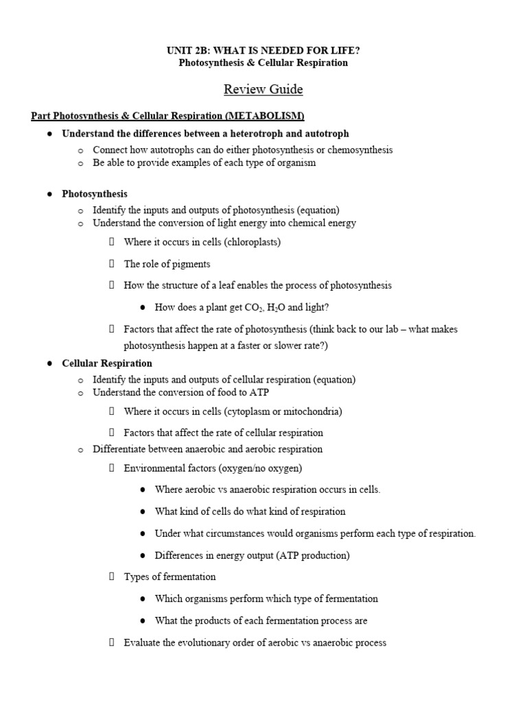 Unit 2B Review Guide | PDF | Cellular Respiration | Photosynthesis