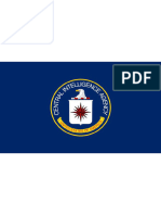 Cia Declassification - Issued Police Reports by Agent Shawn Dexter John and Agent Identity Information