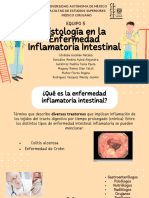 Histología en La Enfermedad Inflamatoria Intestinal
