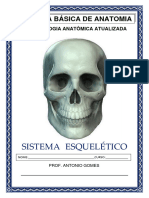 Apostila - 01 Osteologia