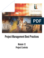 01_IPA Institute - Project Controls and the PCI