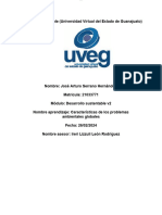 Serrano Arturo Cuadro Sinóptico Problemas Ambientales