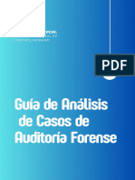 1.3 Guía de Análisis de Casos de Auditoría Forense