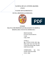 Informe Del Hospital Regional Del Cusco 2023 - Danna Zaravia Valer