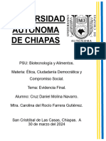 evidenciafinal_etica_Cruz Daniel Molina Navarro