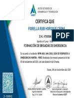 Certificado Brigada Fiorella Horqque