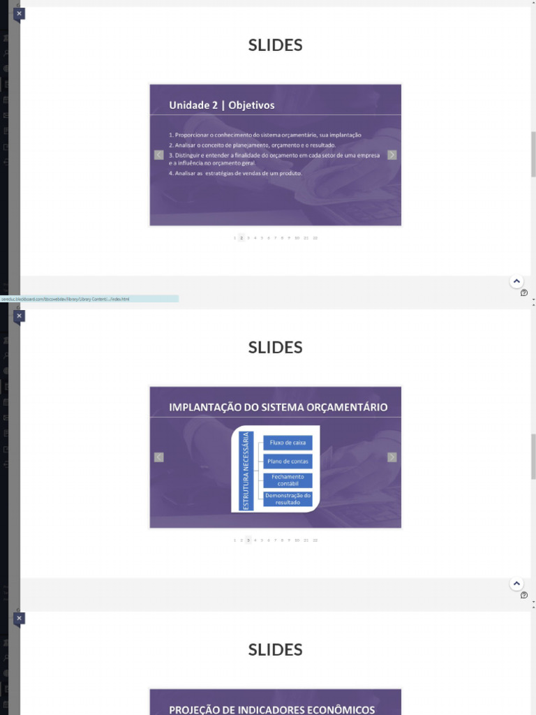 Slides - Orçamento | PDF